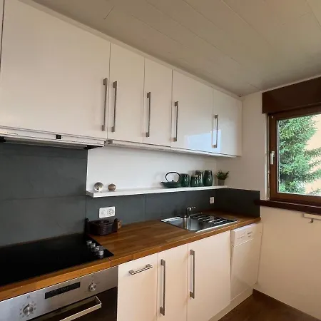 Luxueux De 115m2, Grand Balcon Et Vue Magnifique Leysin