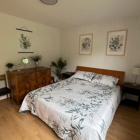 Apartment Luxueux De 115m2, Grand Balcon Et Vue Magnifique Leysin